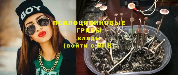 дживик Абинск