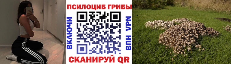 Галлюциногенные грибы прущие грибы  Норильск 