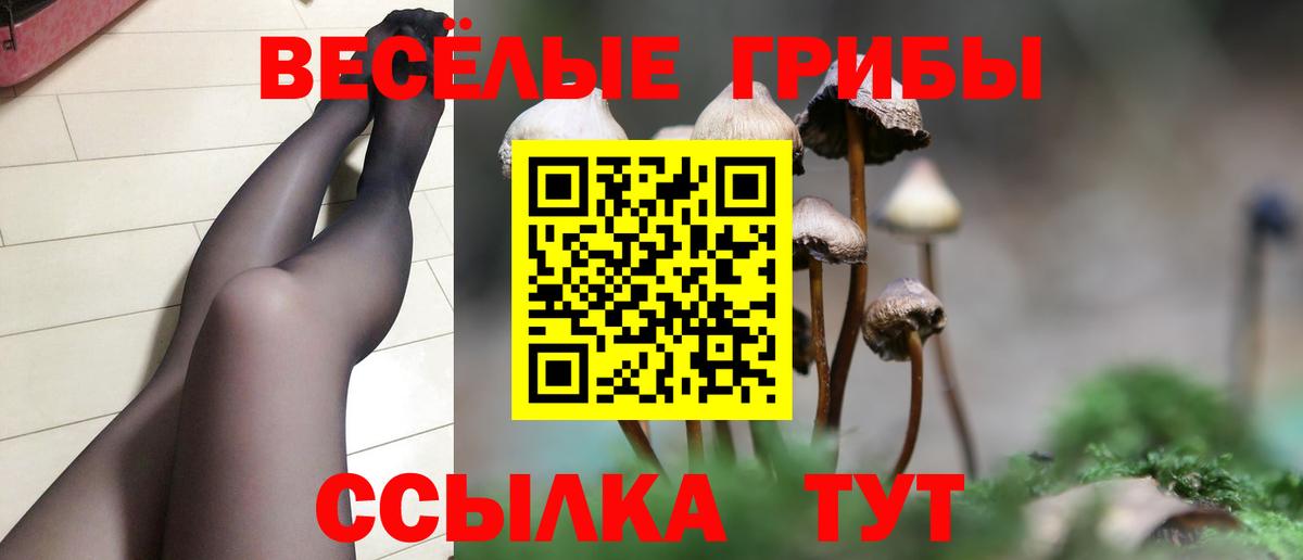 Норильск  купить наркоту  Вход с VPN  Галлюциногенные грибы GOLDEN TEACHER 